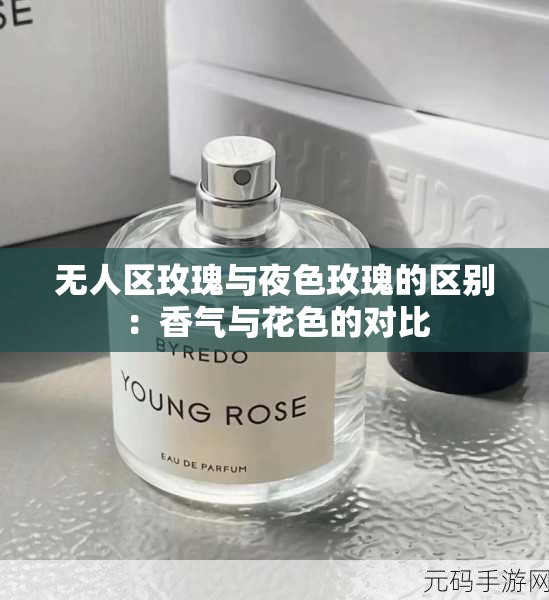 无人区玫瑰与夜色玫瑰的区别：香气与花色的对比