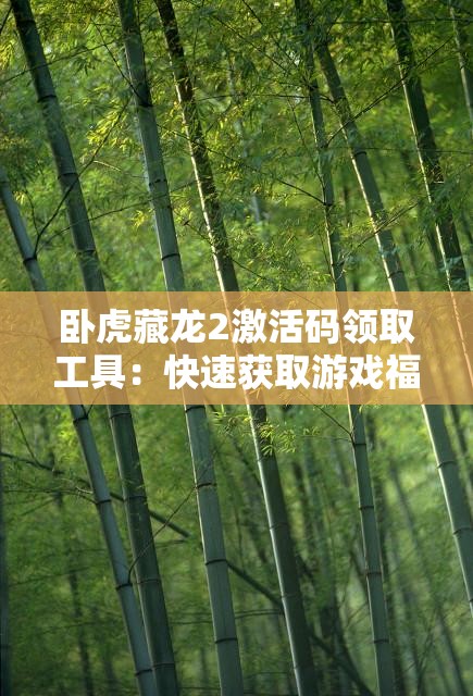 卧虎藏龙2激活码领取工具：快速获取游戏福利的必备神器