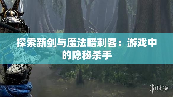 探索新剑与魔法暗刺客：游戏中的隐秘杀手