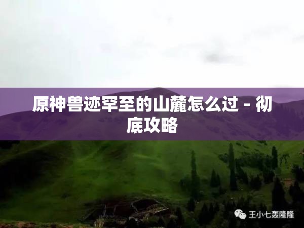 原神兽迹罕至的山麓怎么过 - 彻底攻略