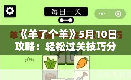 《羊了个羊》5月10日攻略：轻松过关技巧分享